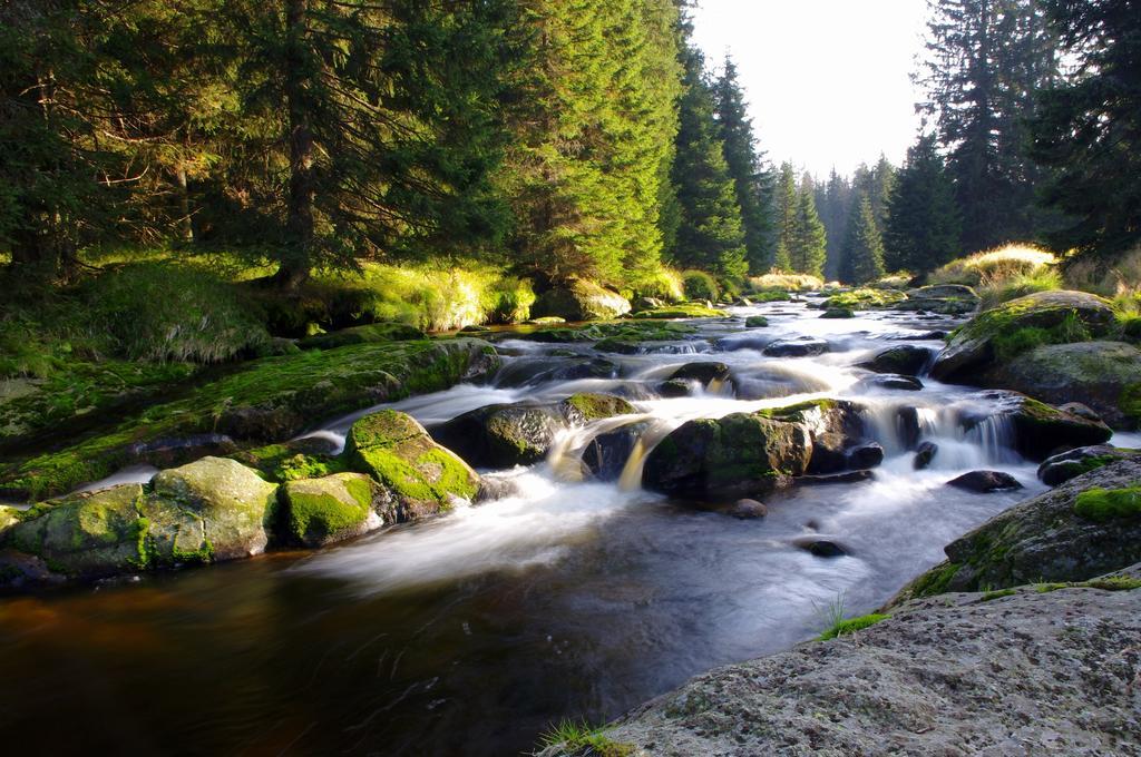 Chalupa Na peci Želnava Habitación foto